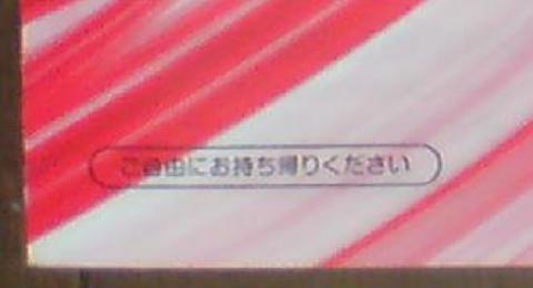 New PlayStation3 250GB(CECH-4000B) のカタログ②.JPG